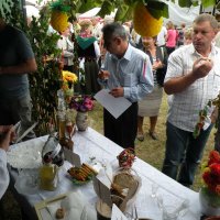 Zobacz w powiększeniu: Dożynki Gminne 2011 (8)