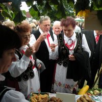 Zobacz w powiększeniu: Dożynki Gminne 2011 (10)