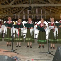 Zobacz w powiększeniu: Dożynki Gminne 2011 (38)