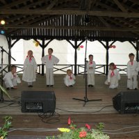 Zobacz w powiększeniu: Dożynki Gminne 2011 (49)