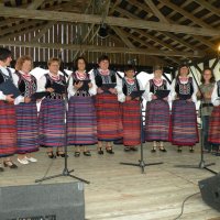 Zobacz w powiększeniu: Dożynki Gminne 2011 (54)