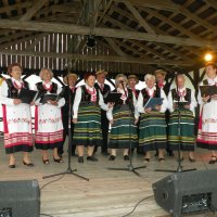 Zobacz w powiększeniu: Dożynki Gminne 2011 (55)