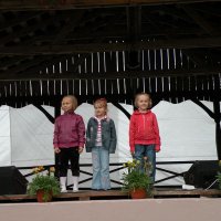Zobacz w powiększeniu: GODEL 2011 (4)