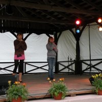 Zobacz w powiększeniu: GODEL 2011 (10)