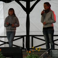 Zobacz w powiększeniu: GODEL 2011 (11)