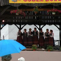 Zobacz w powiększeniu: GODEL 2011 (15)