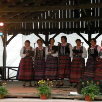 Zobacz w powiększeniu: GODEL 2011 (16)