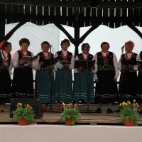Zobacz w powiększeniu: GODEL 2011 (17)