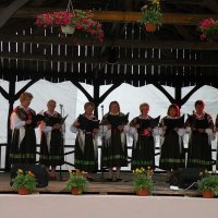 Zobacz w powiększeniu: GODEL 2011 (21)