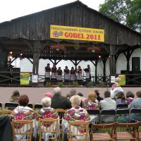 Zobacz w powiększeniu: GODEL 2011 (23)