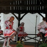 Zobacz w powiększeniu: GODEL 2011 (39)