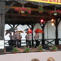 Zobacz w powiększeniu: GODEL 2011 (45)