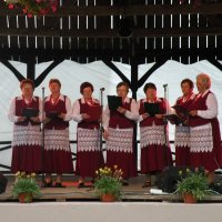 Zobacz w powiększeniu: GODEL 2011 (51)