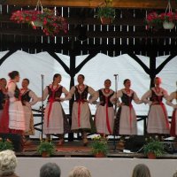 Zobacz w powiększeniu: GODEL 2011 (58)