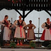 Zobacz w powiększeniu: GODEL 2011 (62)