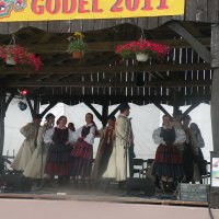 Zobacz w powiększeniu: GODEL 2011 (71)