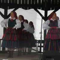 Zobacz w powiększeniu: GODEL 2011 (72)