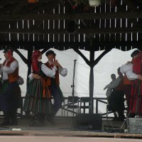 Zobacz w powiększeniu: GODEL 2011 (73)