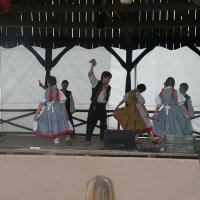 Zobacz w powiększeniu: GODEL 2011 (8)