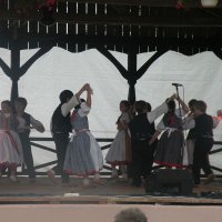 Zobacz w powiększeniu: GODEL 2011 (9)