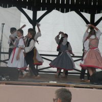 Zobacz w powiększeniu: GODEL 2011 (11)