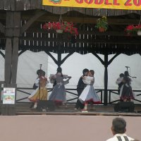 Zobacz w powiększeniu: GODEL 2011 (15)