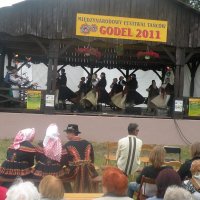 Zobacz w powiększeniu: GODEL 2011 (25)