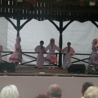 Zobacz w powiększeniu: GODEL 2011 (28)