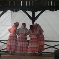 Zobacz w powiększeniu: GODEL 2011 (31)