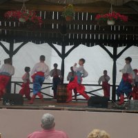 Zobacz w powiększeniu: GODEL 2011 (35)