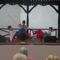 Zobacz w powiększeniu: GODEL 2011 (37)