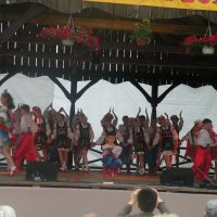 Zobacz w powiększeniu: GODEL 2011 (41)