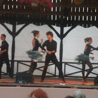 Zobacz w powiększeniu: GODEL 2011 (49)