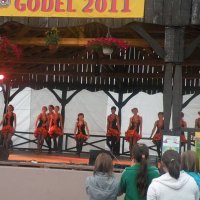 Zobacz w powiększeniu: GODEL 2011 (53)