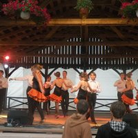 Zobacz w powiększeniu: GODEL 2011 (55)