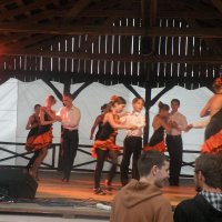 Zobacz w powiększeniu: GODEL 2011 (56)