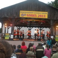 Zobacz w powiększeniu: GODEL 2011 (60)