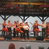 Zobacz w powiększeniu: GODEL 2011 (62)