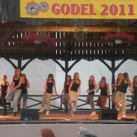 Zobacz w powiększeniu: GODEL 2011 (64)