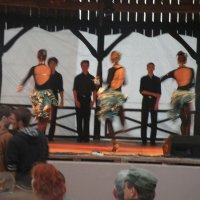 Zobacz w powiększeniu: GODEL 2011 (67)