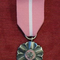 Zobacz w powiększeniu: Jubielusz małżeństwa i Zasłużeni dla Rolnictwa (5)