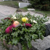 Zobacz w powiększeniu: Kiermasz Wielkanocny 2011 (59)