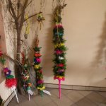 Obejrzyj galerię zdjęć: Konkurs na Najpiękniejsza Palmę 2011