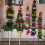 Obejrzyj galerię zdjęć: Konkurs na Najpiękniejsza Palmę 2011