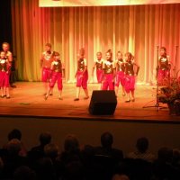 Zobacz w powiększeniu: XI Powiatowy Dzień Kultury (31)