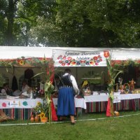 Zobacz w powiększeniu: Dożynki Powiatowe 2012 (1)