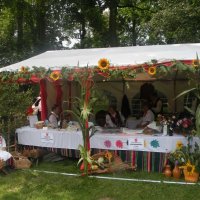 Zobacz w powiększeniu: Dożynki Powiatowe 2012 (2)