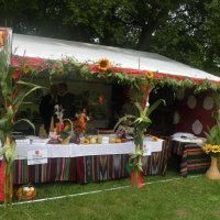 Zobacz w powiększeniu: Dożynki Powiatowe 2012 (3)