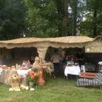 Zobacz w powiększeniu: Dożynki Powiatowe 2012 (4)