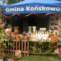 Zobacz w powiększeniu: Dożynki Powiatowe 2012 (6)